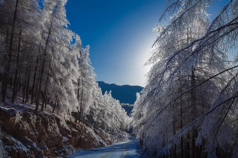 湖北滑雪