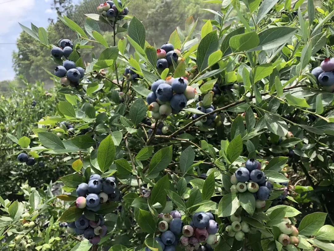 湖北生态旅游