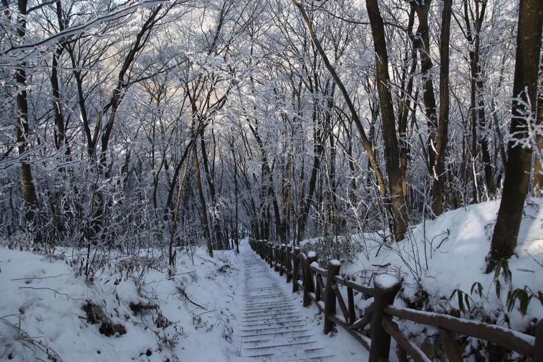 湖北滑雪