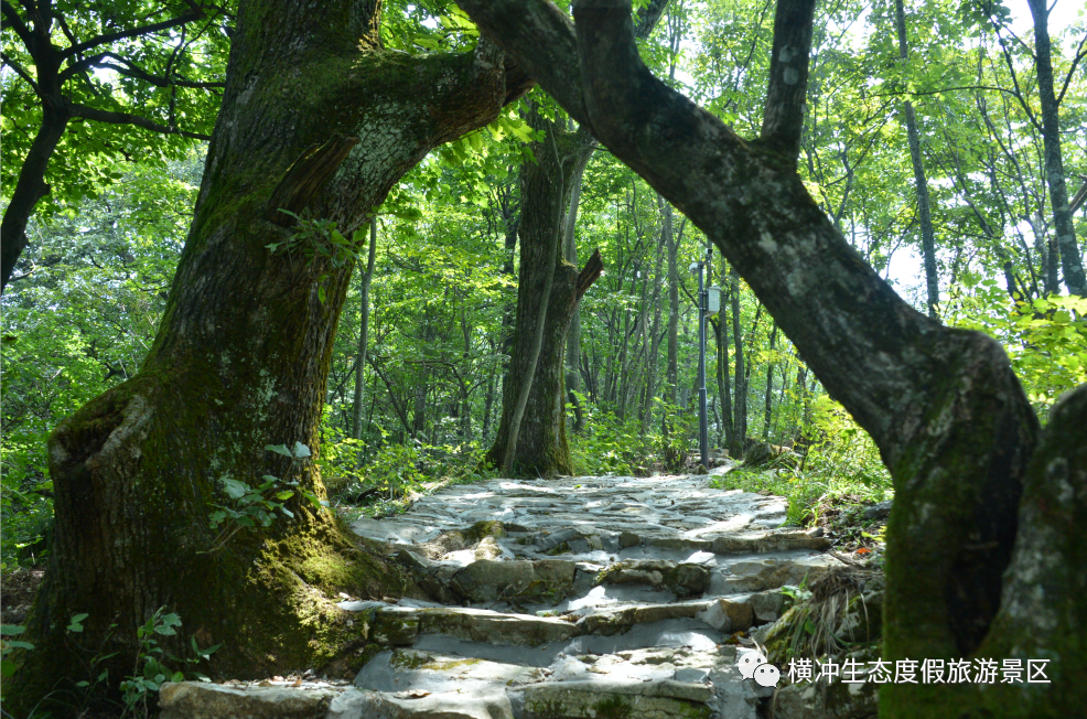 湖北生态旅游