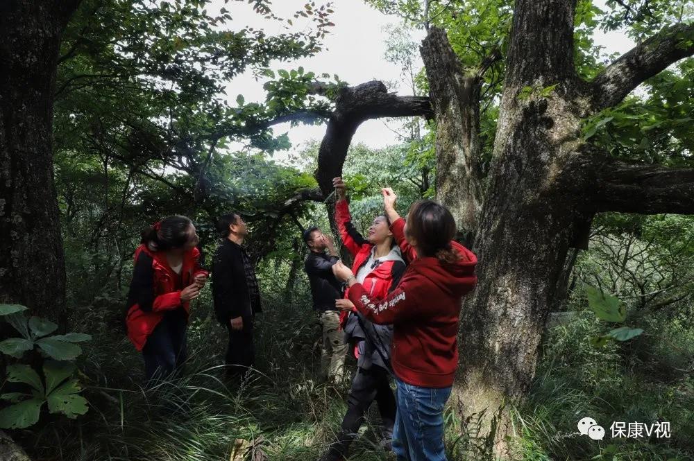 湖北生态旅游