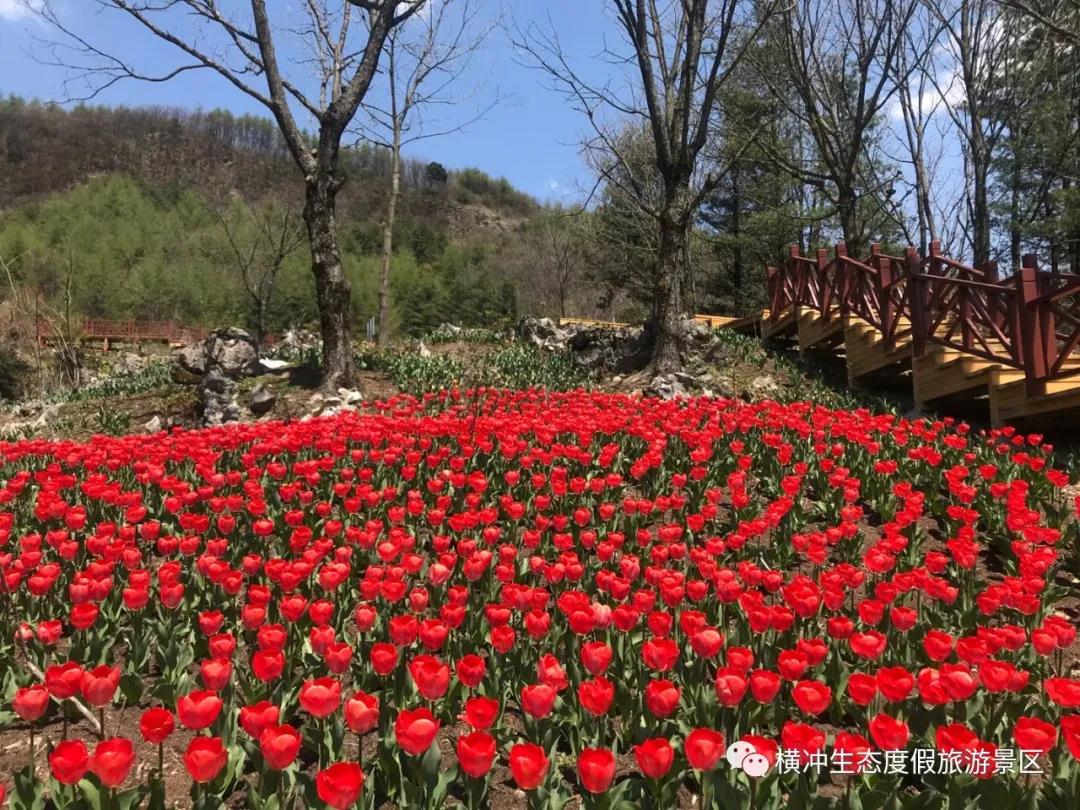 湖北生态旅游