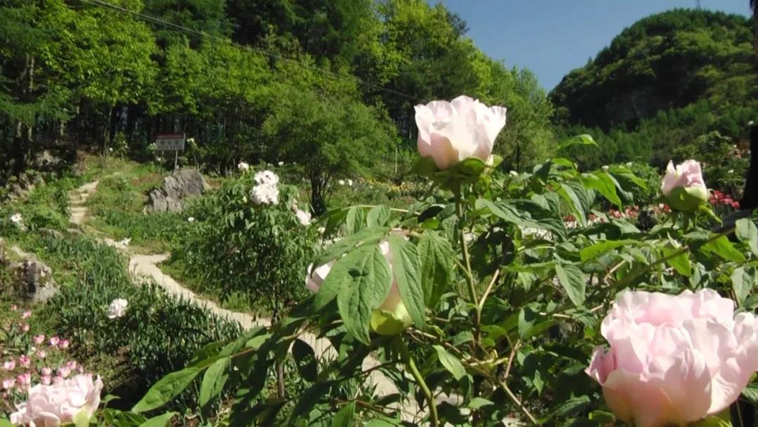 横冲旅游