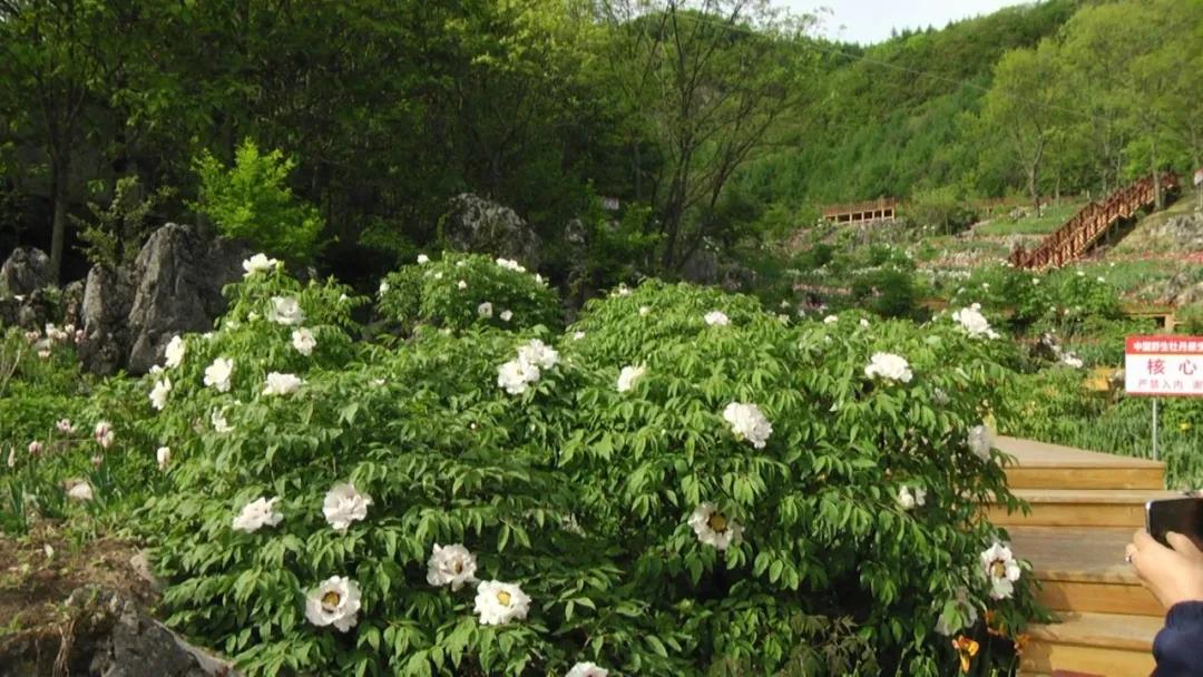 横冲旅游