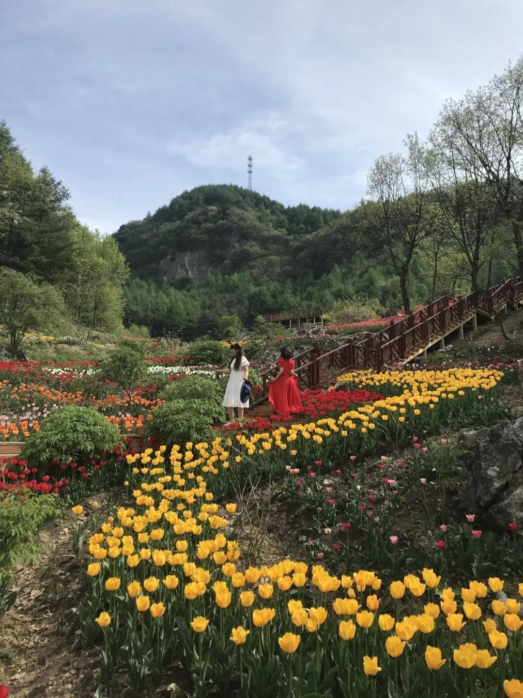 横冲旅游