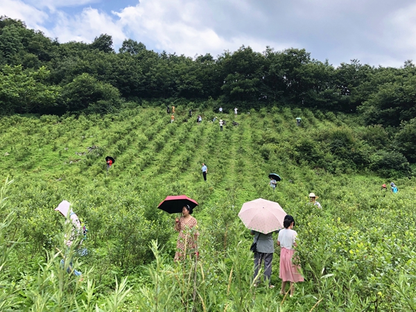 横冲旅游